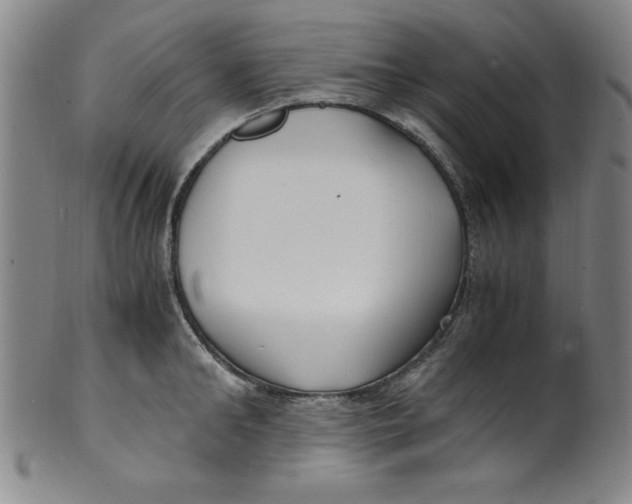 X0000100380902200806271331