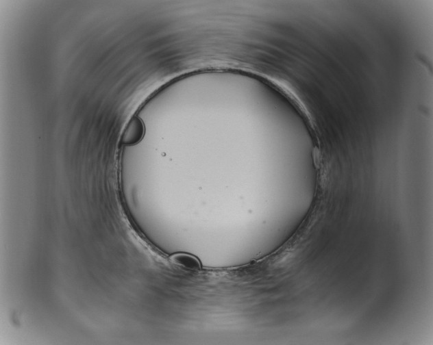 X0000100380903200806271331