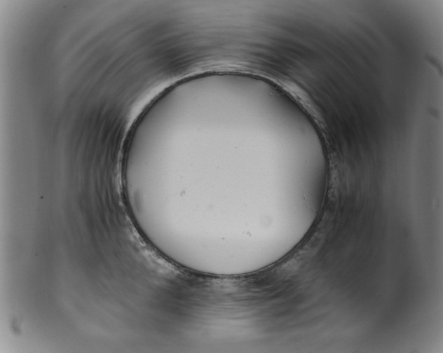 X0000100380904200806271331