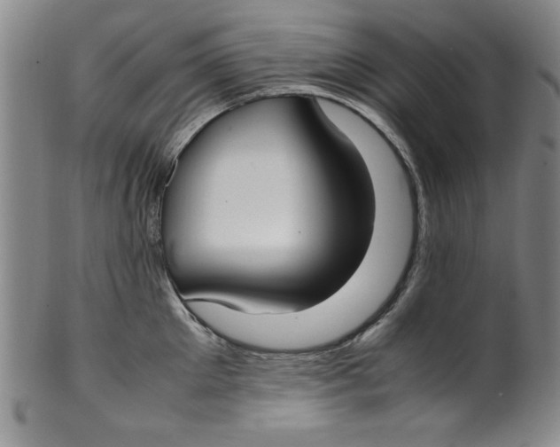 X0000100380905200806271331