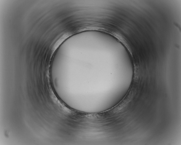 X0000100380906200806271331