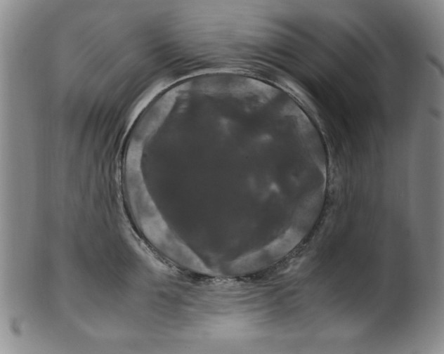 X0000100380907200806271331