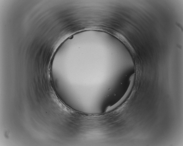 X0000100380908200806271331