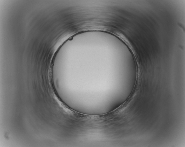 X0000100380909200806271331