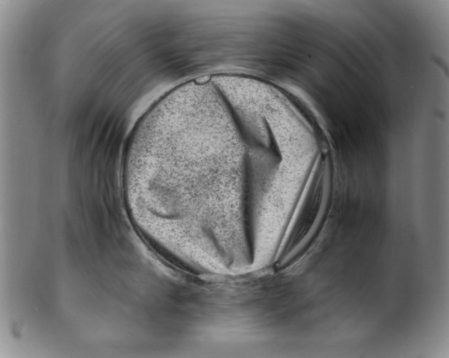 X0000100380910200806271331
