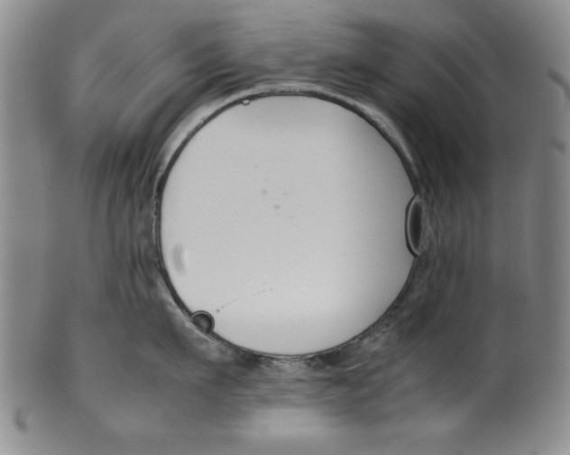 X0000100380911200806271331