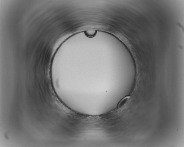 X0000100380912200806271331