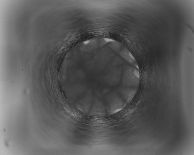 X0000100380913200806271330