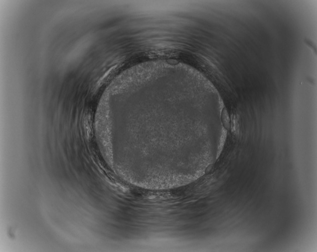 X0000100380915200806271330