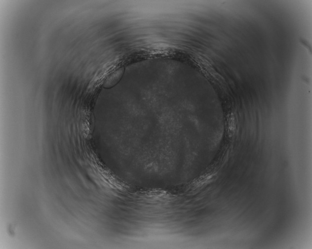 X0000100380916200806271330