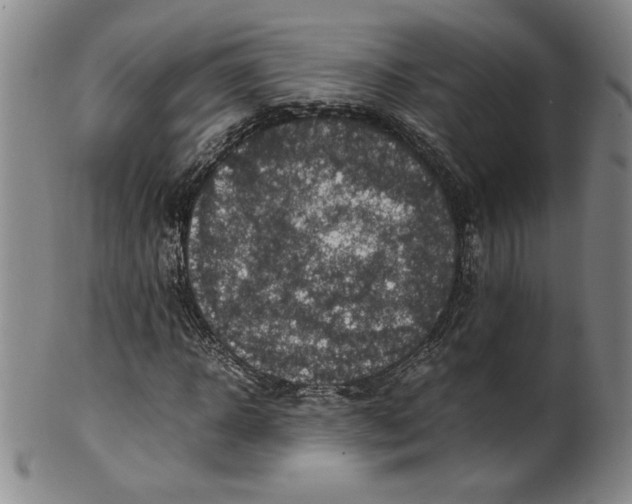 X0000100380918200806271330