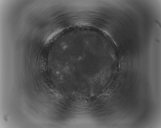 X0000100380919200806271330