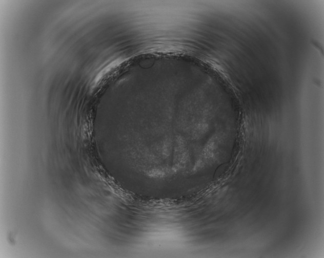 X0000100380920200806271330