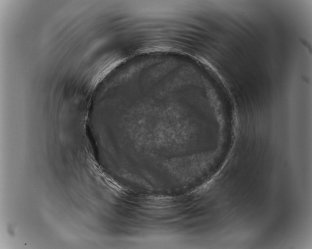 X0000100380921200806271330