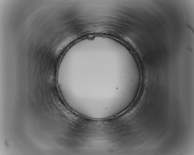 X0000100380922200806271330
