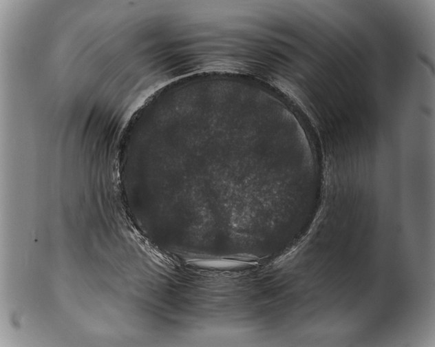 X0000100380923200806271330