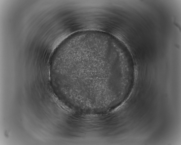 X0000100380925200806271331