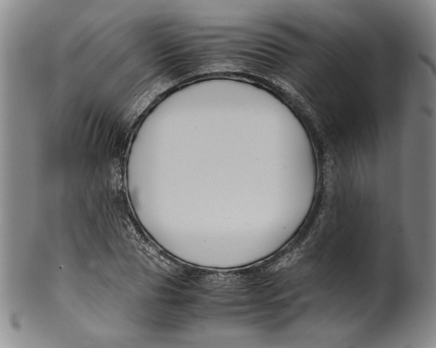 X0000100380929200806271331