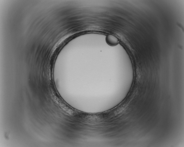 X0000100380931200806271331