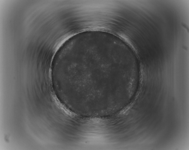 X0000100380932200806271331