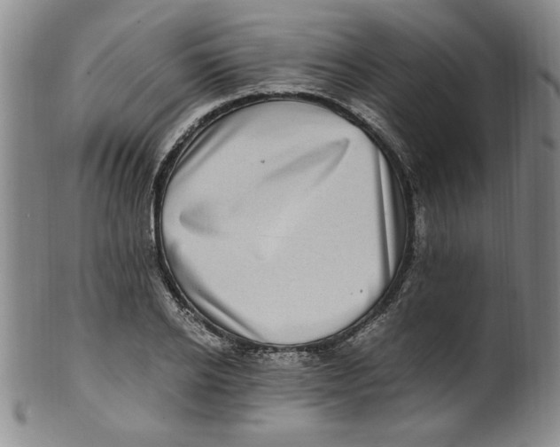X0000100380934200806271331
