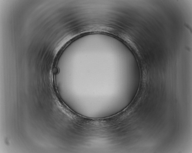 X0000100380936200806271331