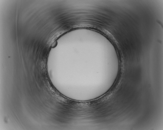 X0000100380937200806271331