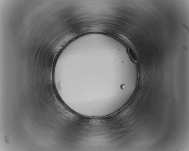 X0000100380938200806271331