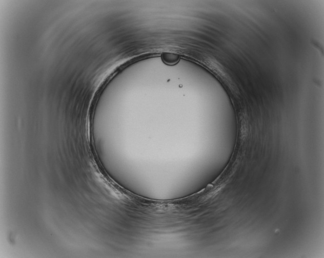 X0000100380940200806271331