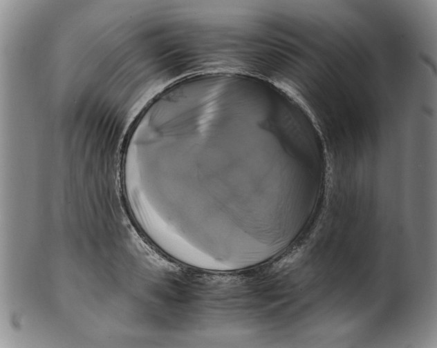 X0000100380941200806271331