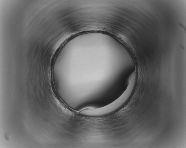 X0000100380942200806271331