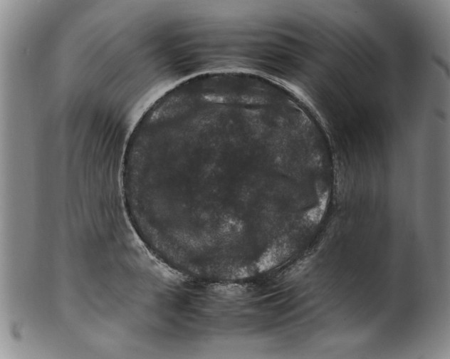 X0000100380943200806271331