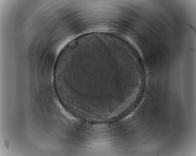 X0000100380944200806271331