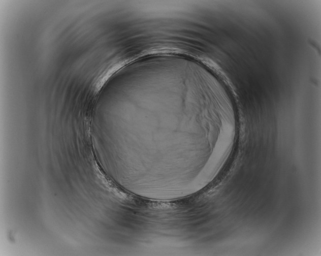 X0000100380945200806271331