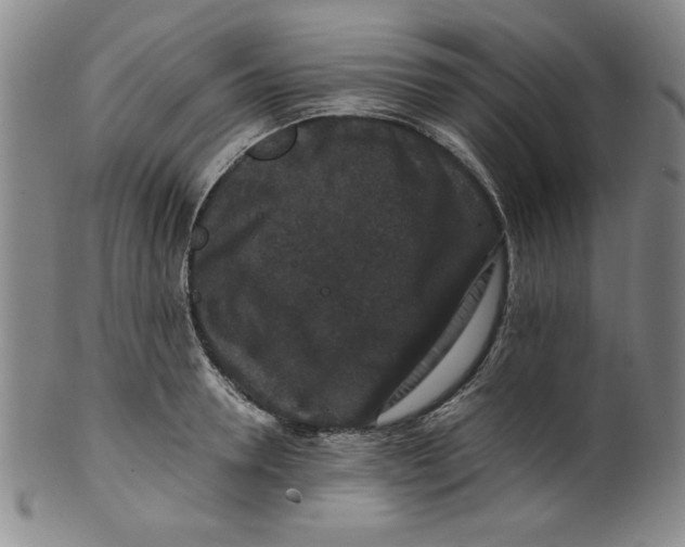 X0000100380946200806271331