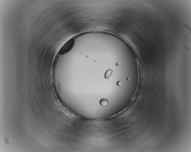 X0000100380948200806271331