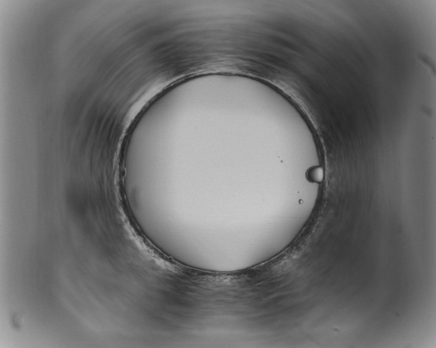 X0000100380949200806271331