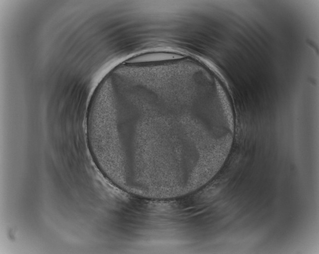 X0000100380951200806271331