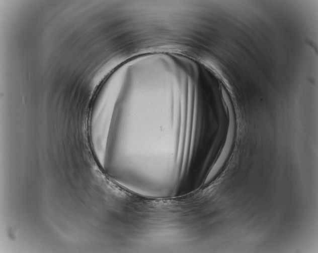 X0000100380952200806271331
