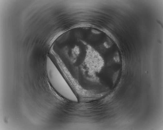 X0000100380953200806271331