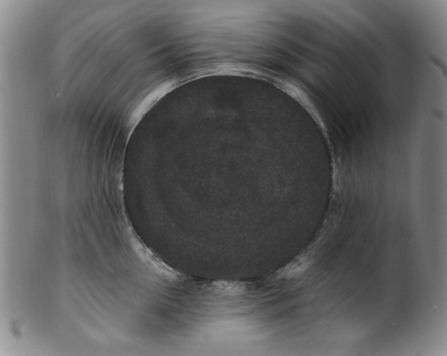 X0000100380954200806271331