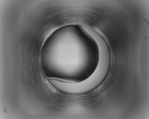 X0000100380956200806271331
