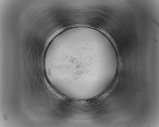 X0000100380957200806271331