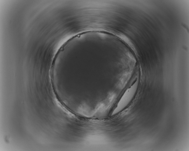 X0000100380958200806271331