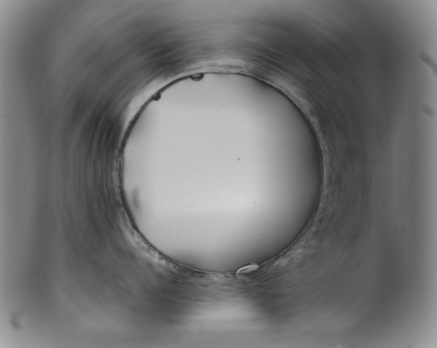 X0000100380960200806271331