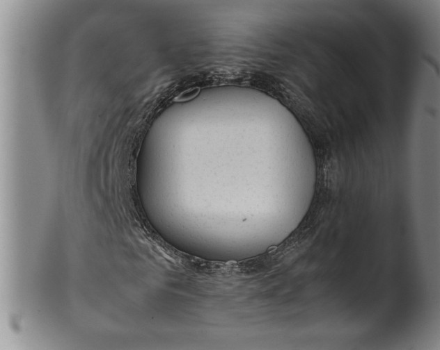 X0000100380961200806271330
