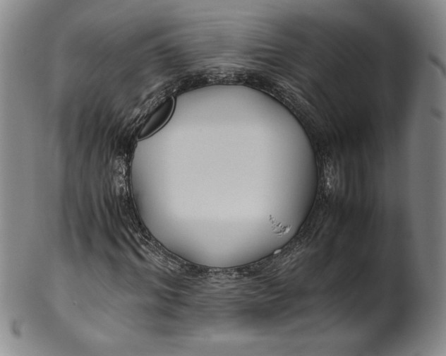 X0000100380964200806271330