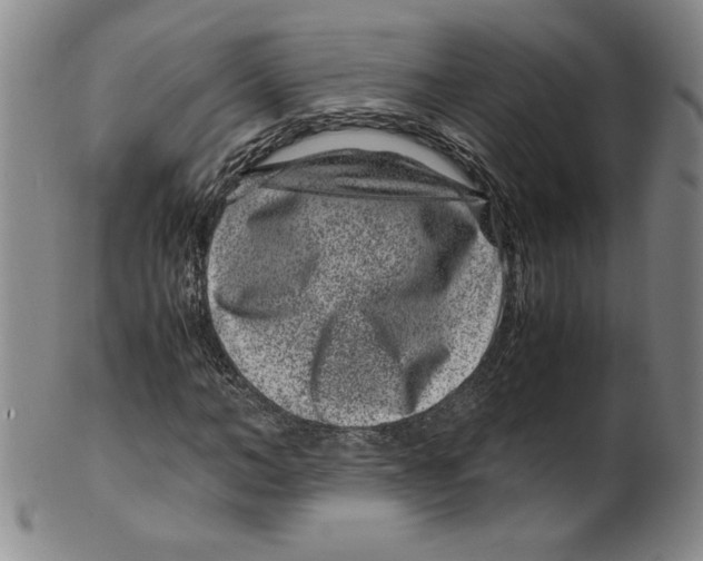 X0000100380966200806271330