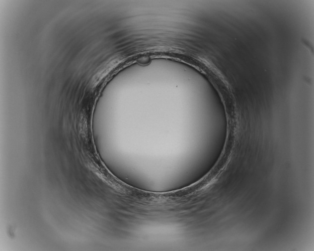 X0000100380969200806271330