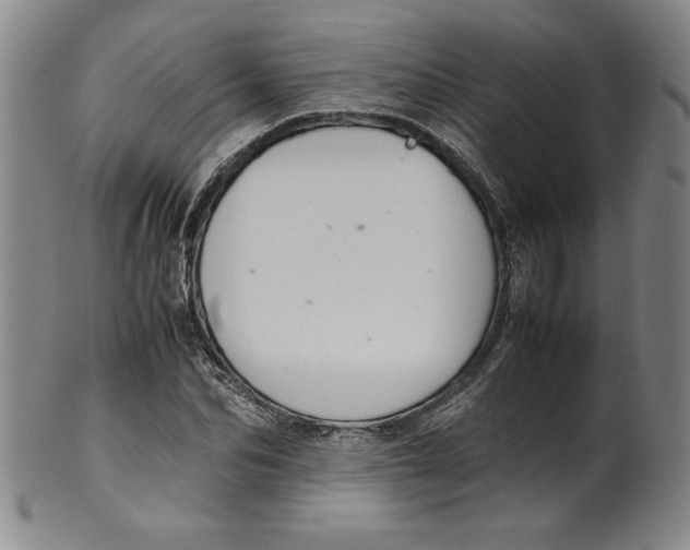 X0000100380974200806271330
